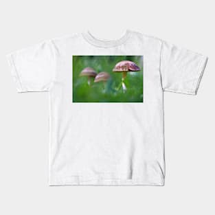 Where the fairies roam..! Kids T-Shirt